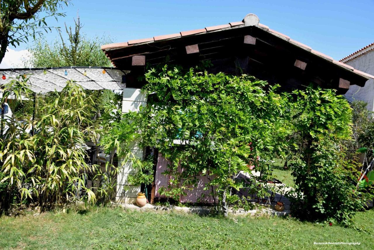Chez Mamou & Dadou Apartment Monteux Exterior photo